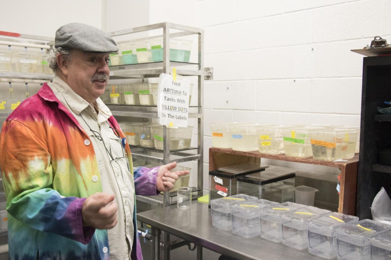 Four aquaculture projects get funding from University of Maryland initiative