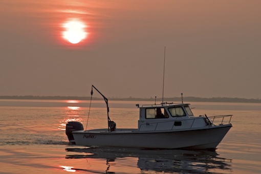NOAA, partners predict slightly above average ‘dead zone’ in Chesapeake Bay