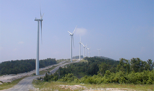 Geographic Origins and Population Genetics of Bats Killed at Wind-energy Facilities