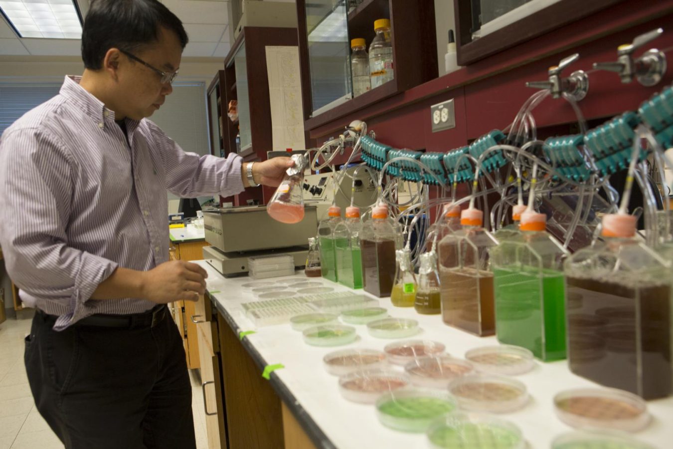Maryland Startup Gobbles Greenhouse Gases With Algae