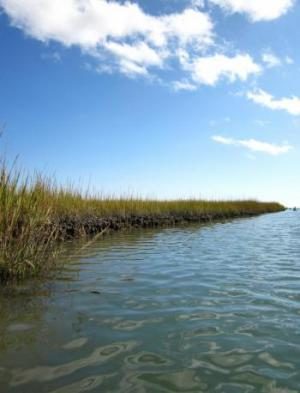 Using Landsat Time Series Data to Examine Patterns in Water Surface Temperature in the Chesapeake Bay