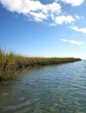 Using Landsat Time Series Data to Examine Patterns in Water Surface Temperature in the Chesapeake Bay