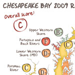 Chesapeake Bay Health Report Card Shows Broad Improvements in 2009
