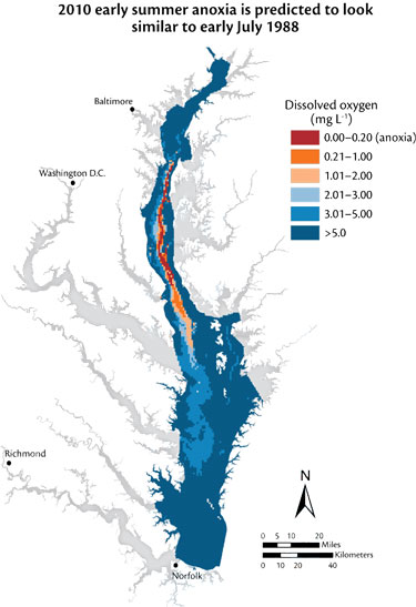 Forecasting Chesapeake Bay Summer Conditions