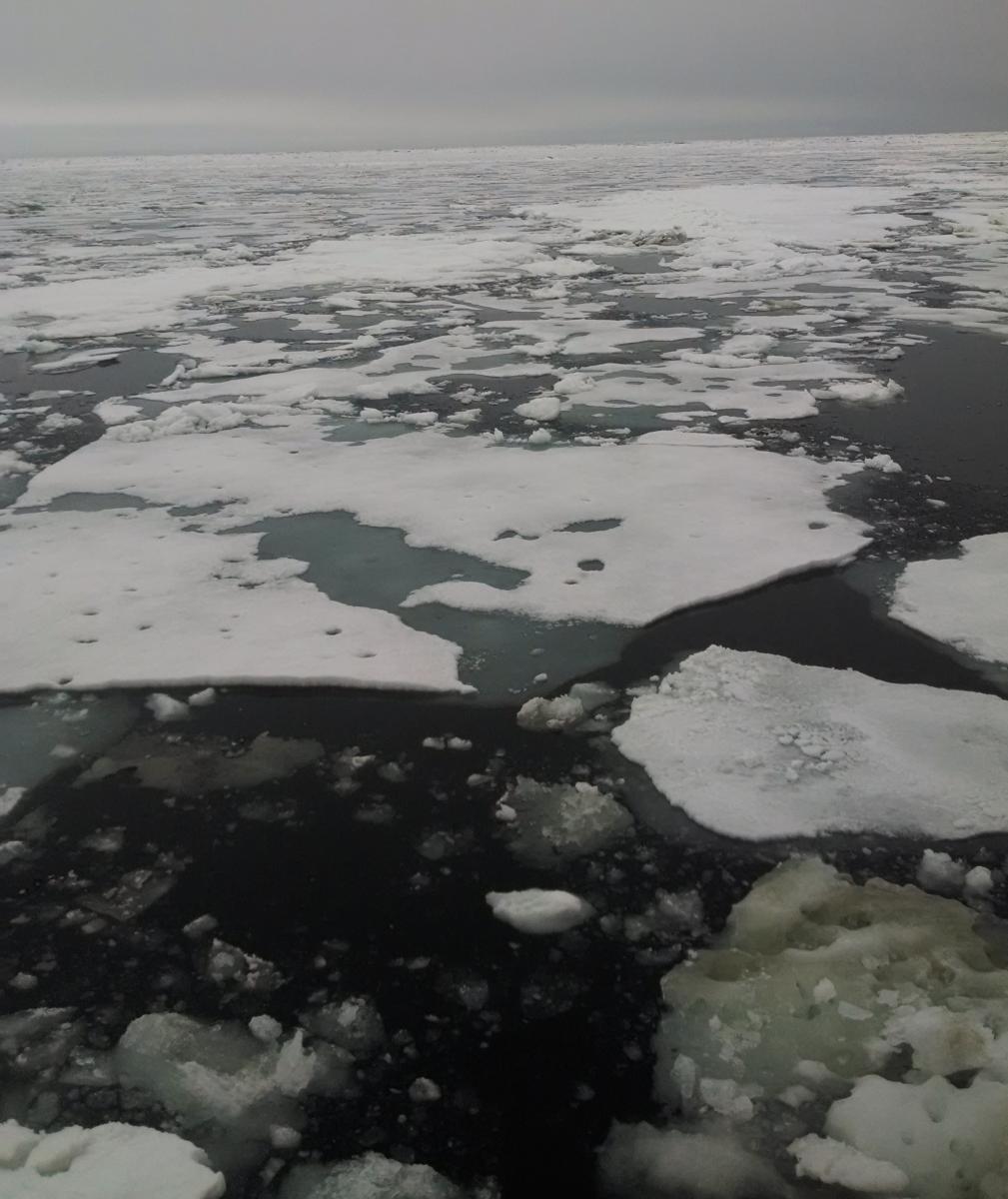 White House highlights Arctic research with a local connection