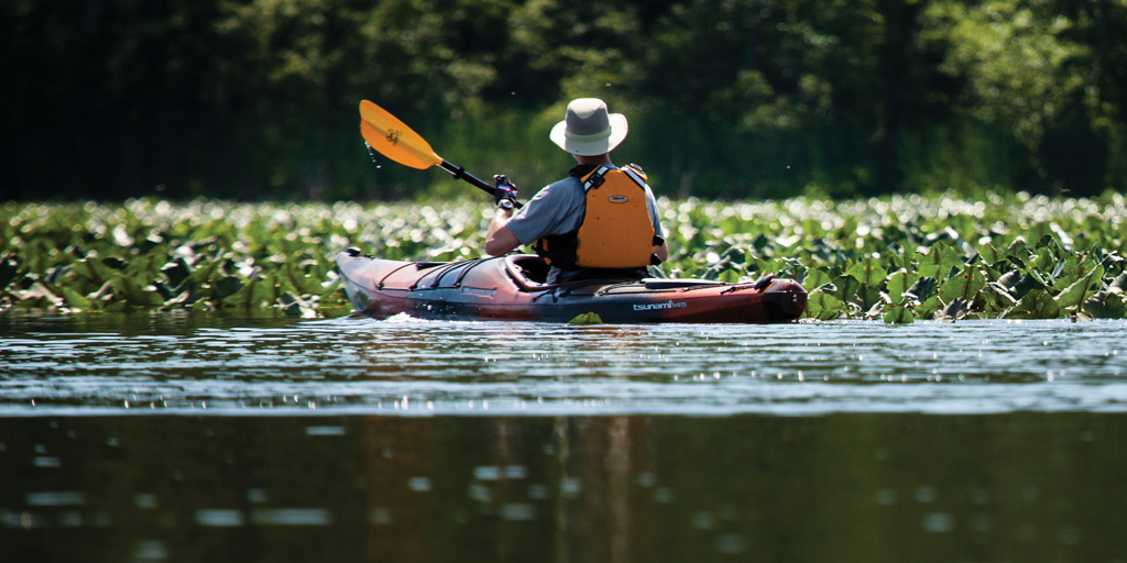 Chesapeake Bay Report Card shows steady recovery