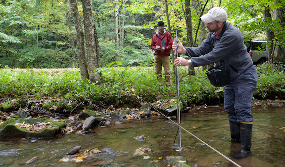 Appalachian Laboratory scientists receive highest university award