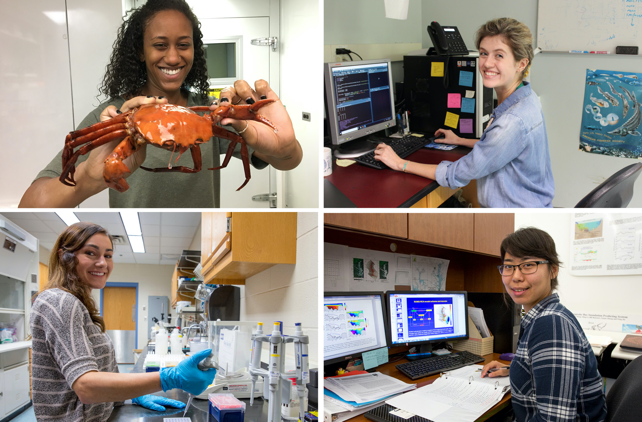 Knauss Fellows explore science and policy issues (virtually) in D.C.