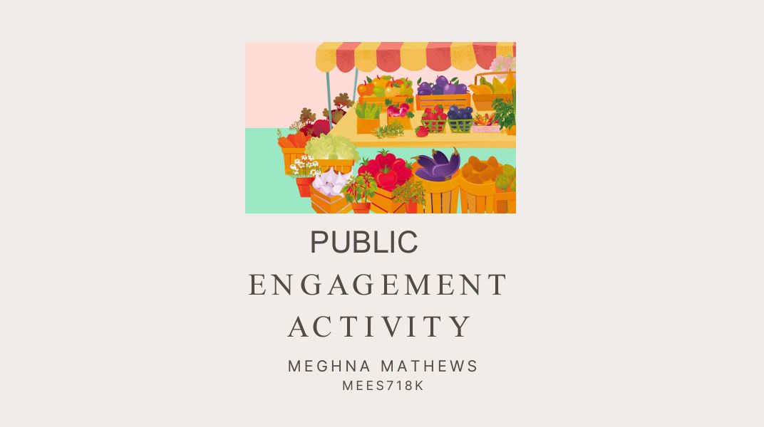 Meghna Mathews:  Public Engagement Project