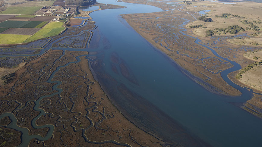 Earth’s estuaries are warming, consistent with climate change