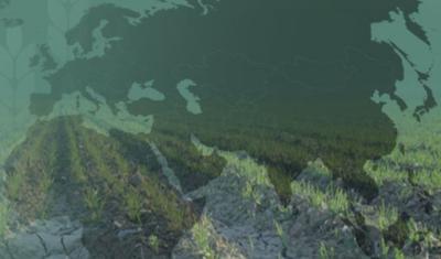 Hungry planet requires more efficient use of nitrogen