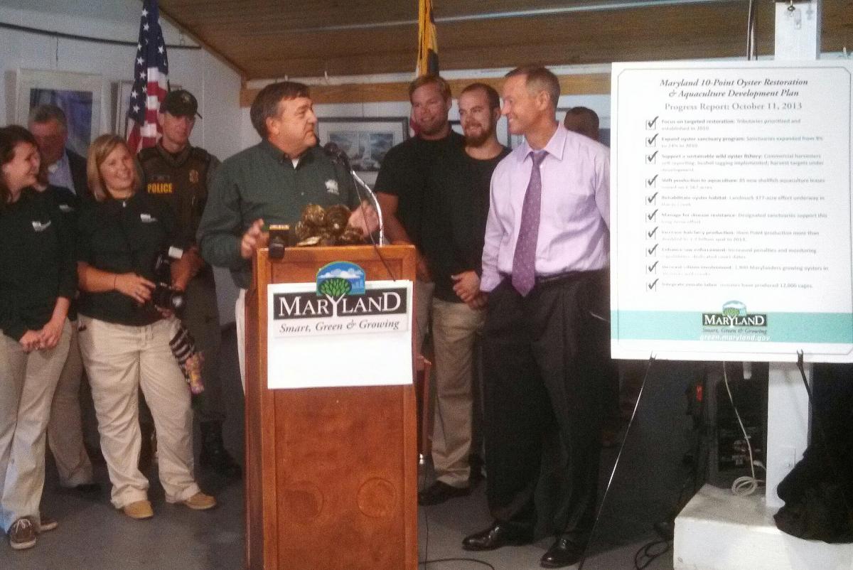 Record 1.2 billion oysters added to Bay restoration effort in 2013