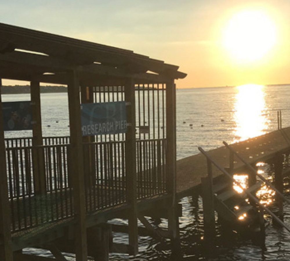 Chesapeake Biological Laboratory 2018 Annual Report