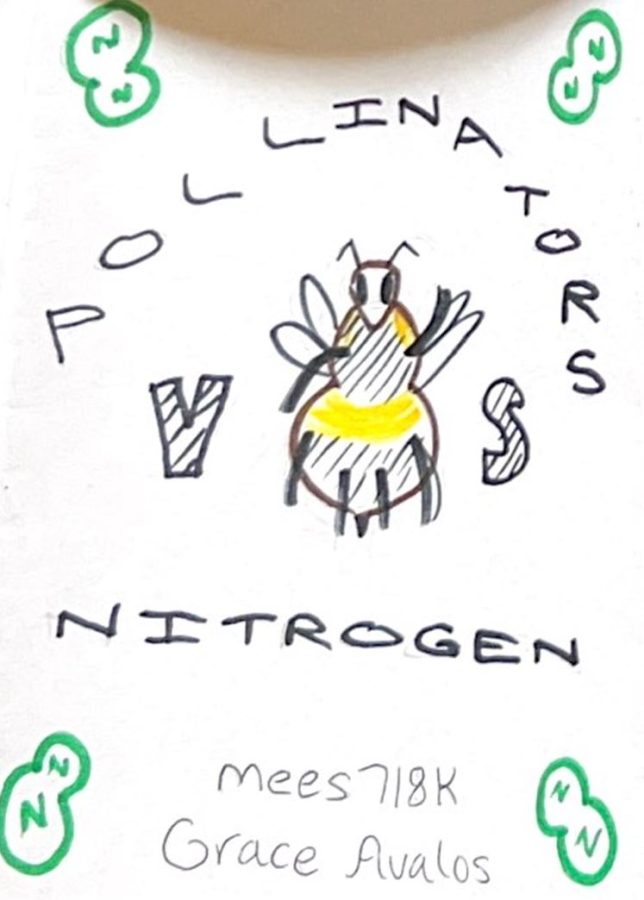 Grace Avalos:  Pollinators vs. Nitrogen