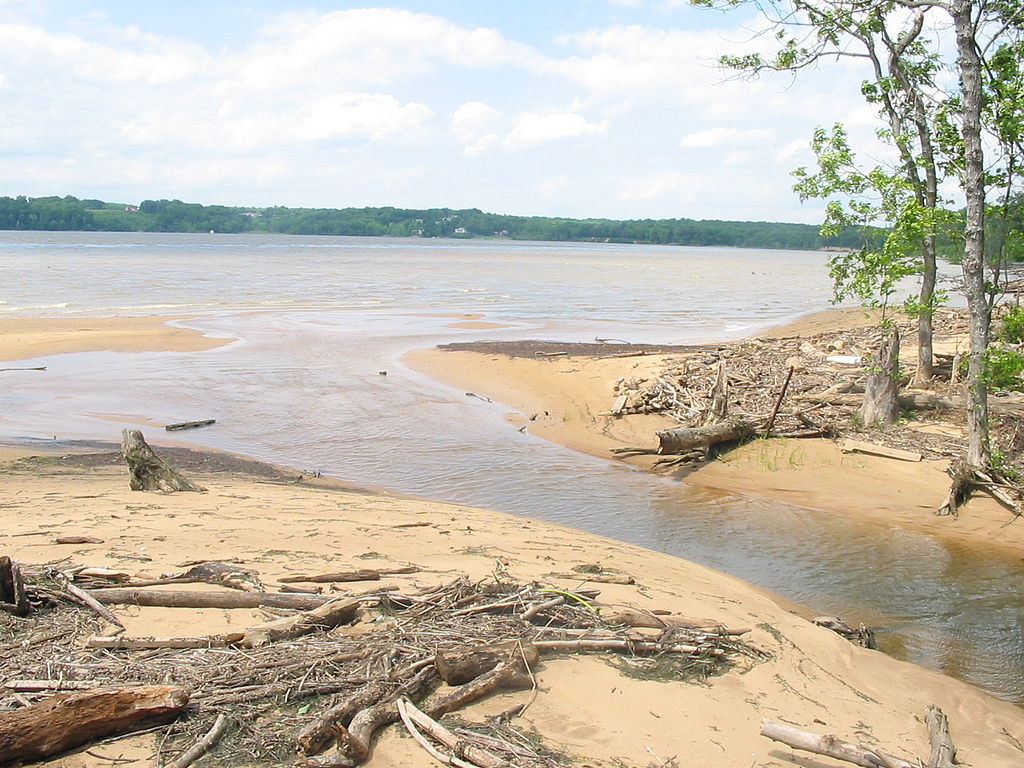 Potomac River Estuary – Aquatic Invasive Diseases
