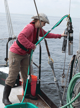 CBL Scientists Study Effects of Fall Storms and Wind on Bay’s “Metabolism”