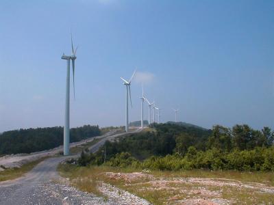 New research will help minimize impact of wind energy development on migratory birds