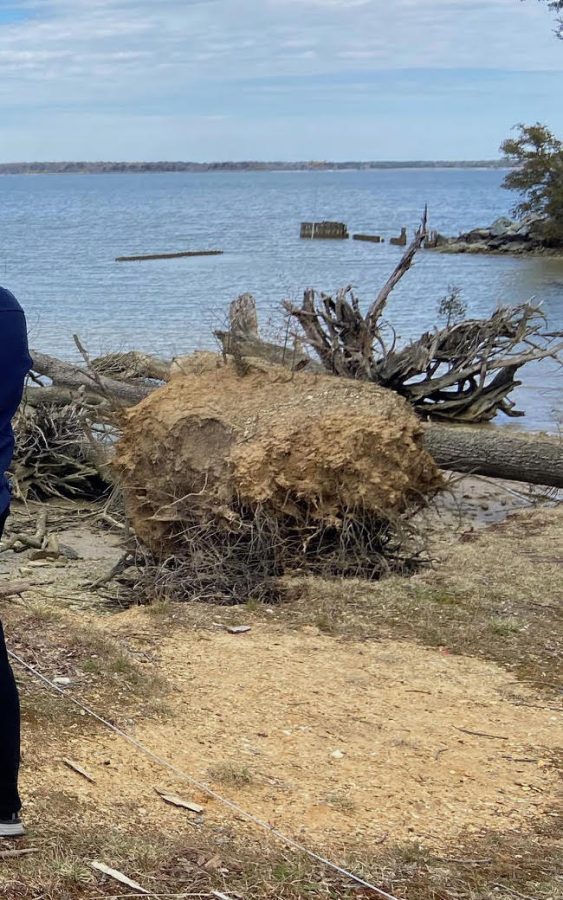 Rising sea levels, erosion — already impacting Maryland — expected to worsen in next 2 decades