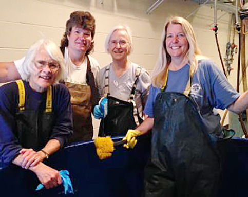 Horn Point volunteers contribute to Bay research