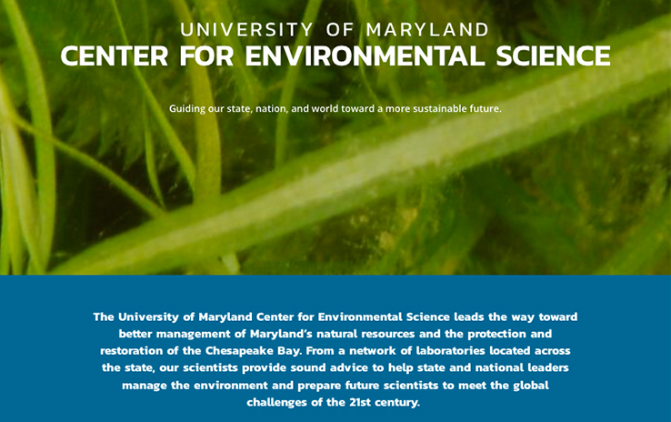 UMCES kicks off contest for new website