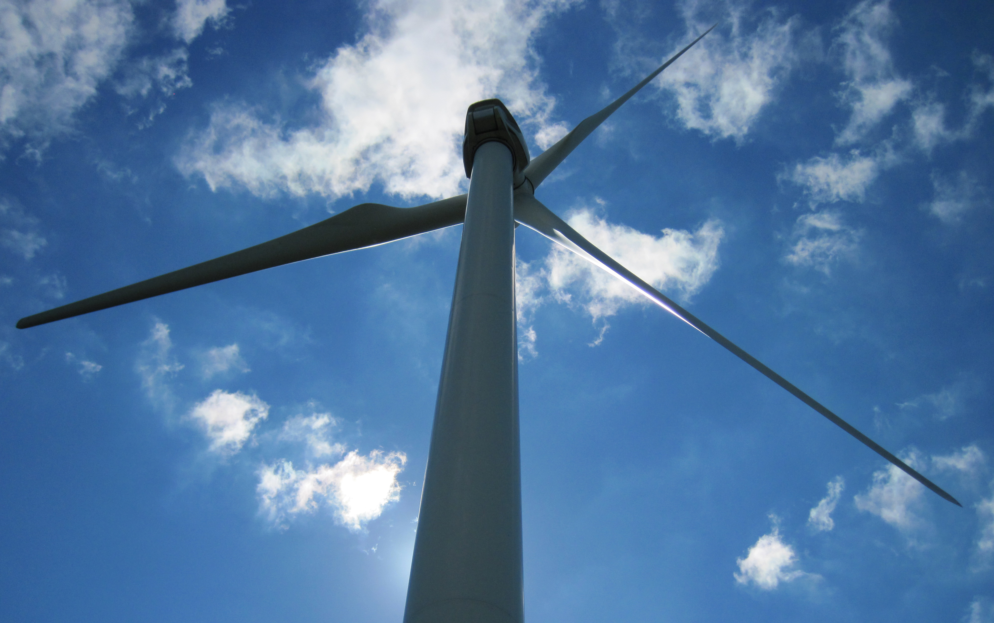 Assessing impact of noise from offshore wind farm construction may help protect marine mammals