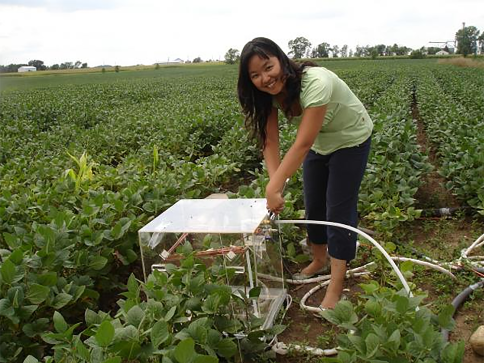 Seeking Sustainable Agriculture
