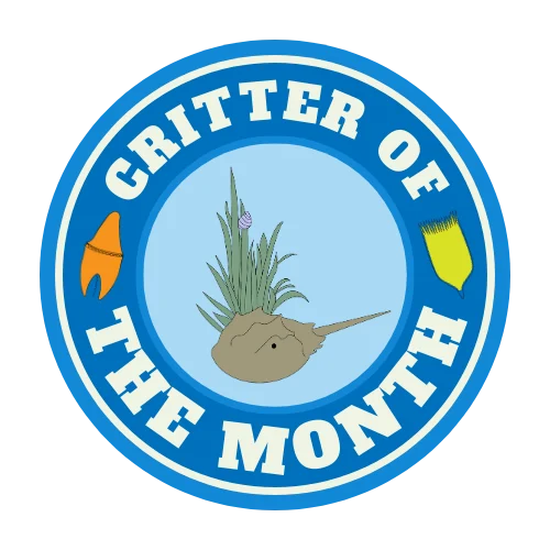 2025-08 Critter of the Month LOGO (updated with horseshoe crab)
