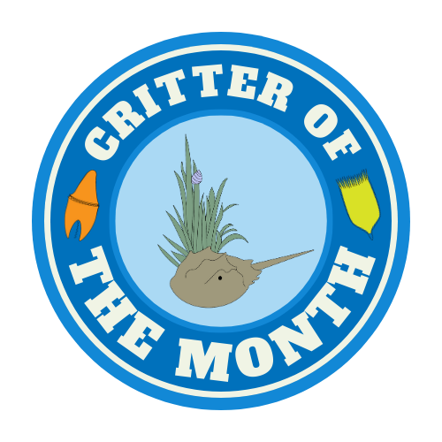 2025-08 Critter of the Month LOGO (updated with horseshoe crab)