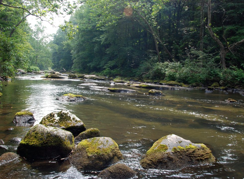 Appalachian river and surrounding forest