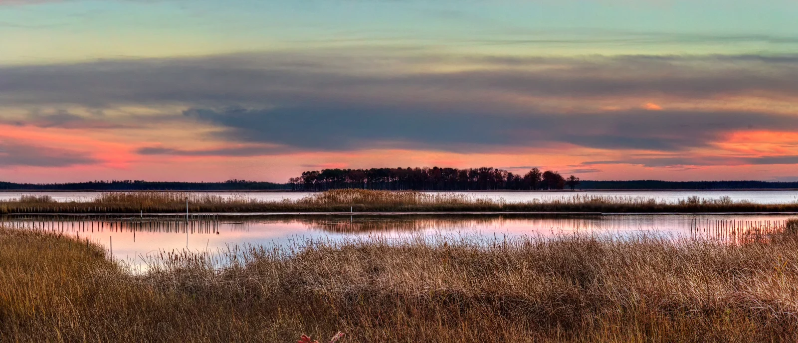 Choptank River and grasses at sunset