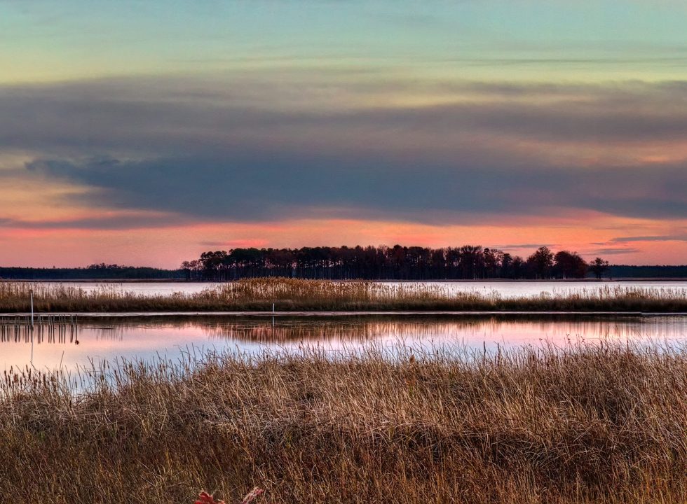 Choptank River and grasses at sunset
