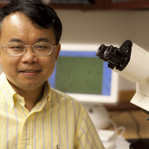Feng Chen