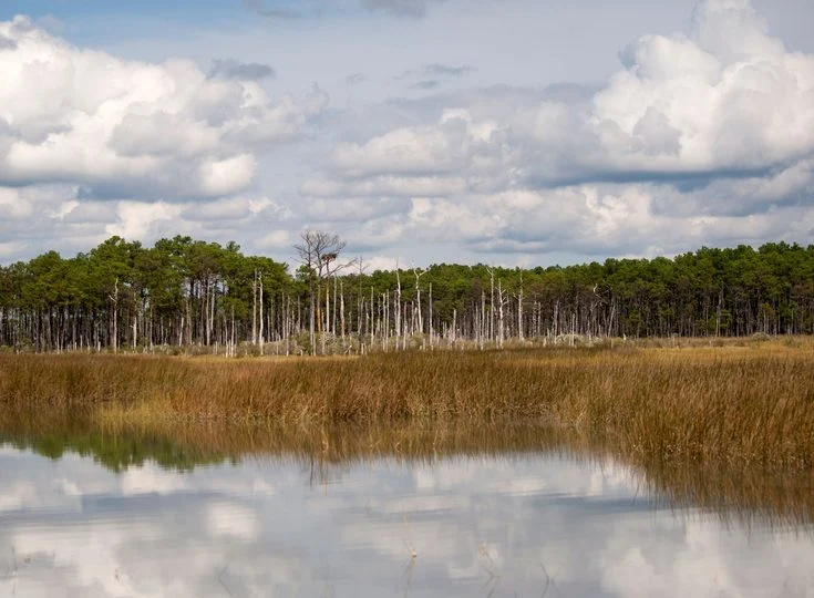 Cloudy Day reflected in water