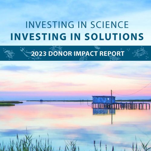 2023 Annual Report