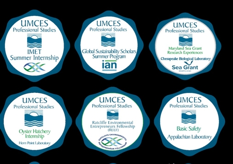 A sample of the badges available at the UMCES OPS.