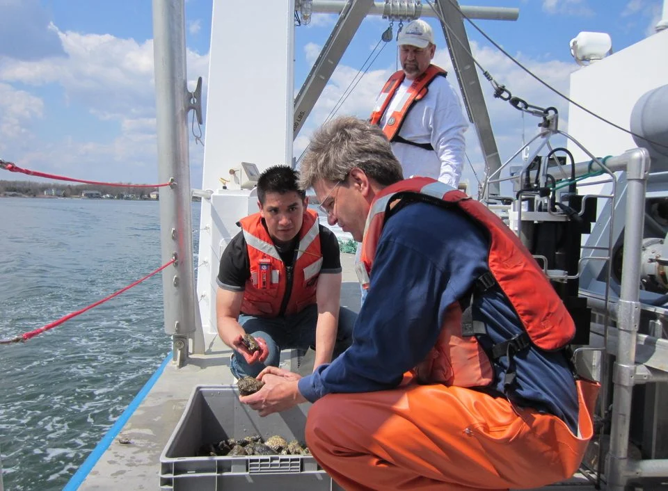 Scientists aboard a boat inspect an oyster