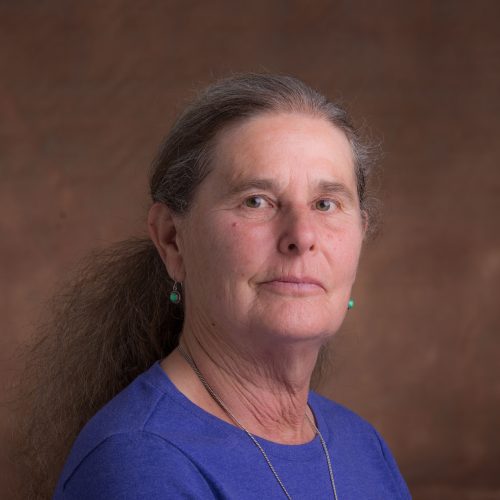 Diane Stoecker