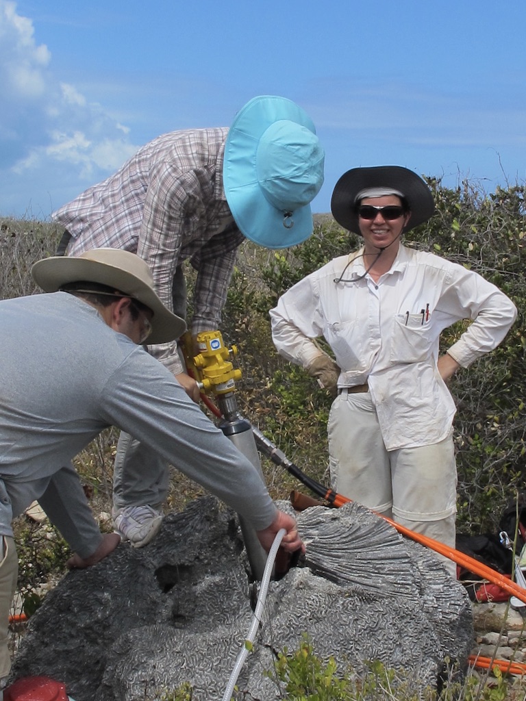 Dr. Kilbourne supervises CBL Master's student Yuan-yuan Xu and University of Puerto Rico MS student Edgardo Quiñones drill a core into a brain coral deposited inland by a tsunami.