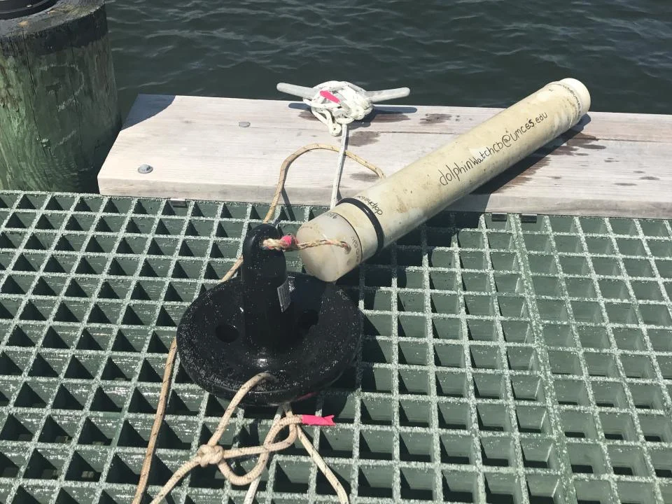 A CPOD is an underwater microphone key to dolphin research.