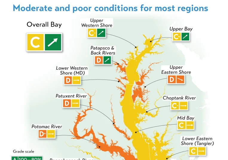 Image of the Chesapeake Bay with grades based on ecological conditions