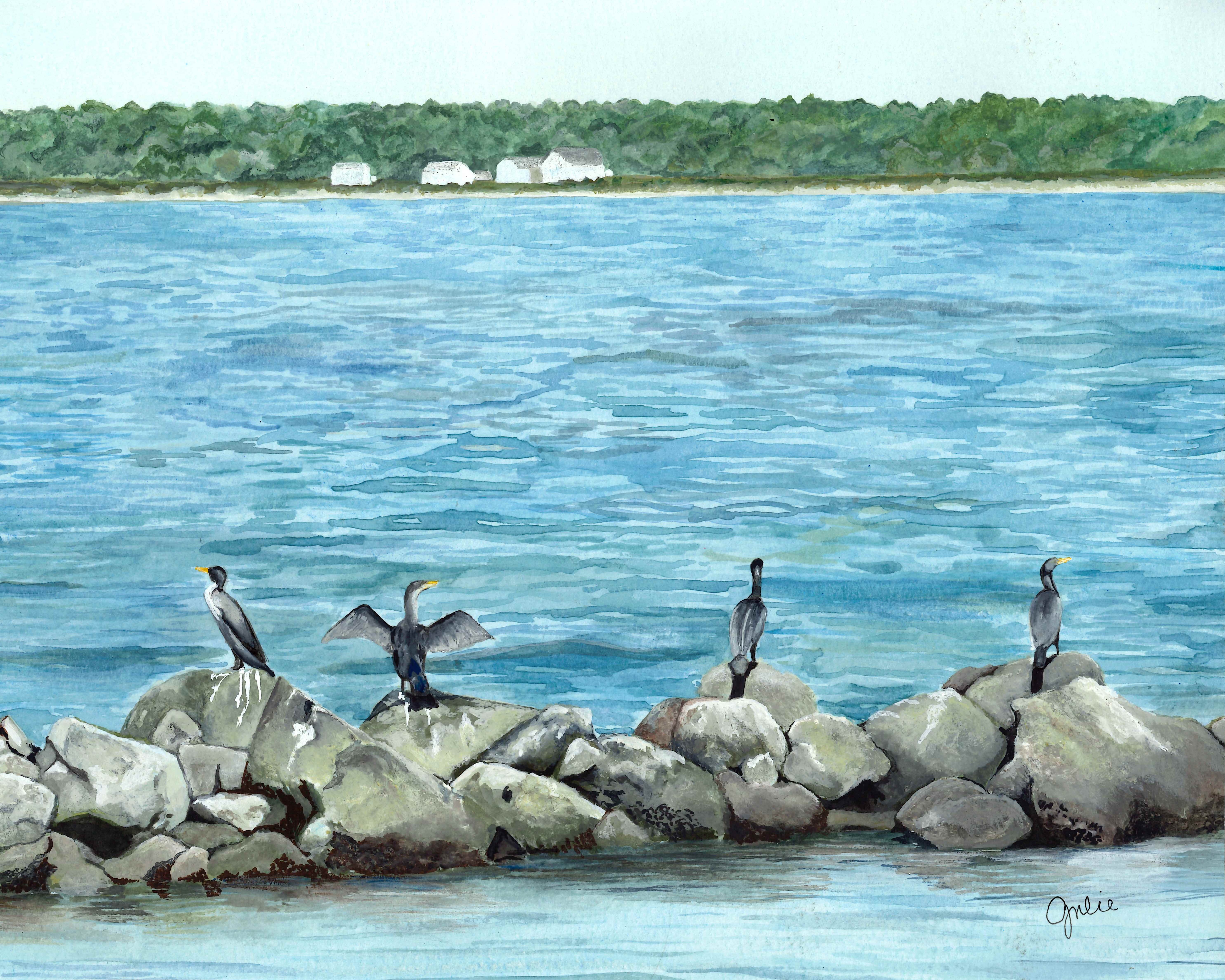 Double-Crested Cormorants drying their wings near the research pier at Horn Point Laboratory on the Choptank River. Original artwork by Julie Trommatter.