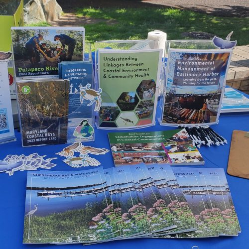 Display showing several environmental report cards produce by IAN
