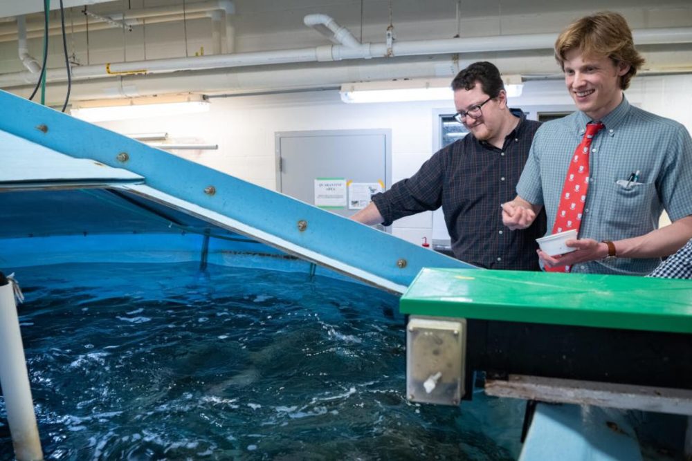 Two researchers work at an aquaculture facility
