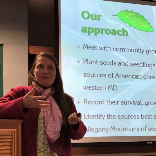 Katia Engelhardt at speaker's podium during Citizens Restoring American Chestnuts presentation