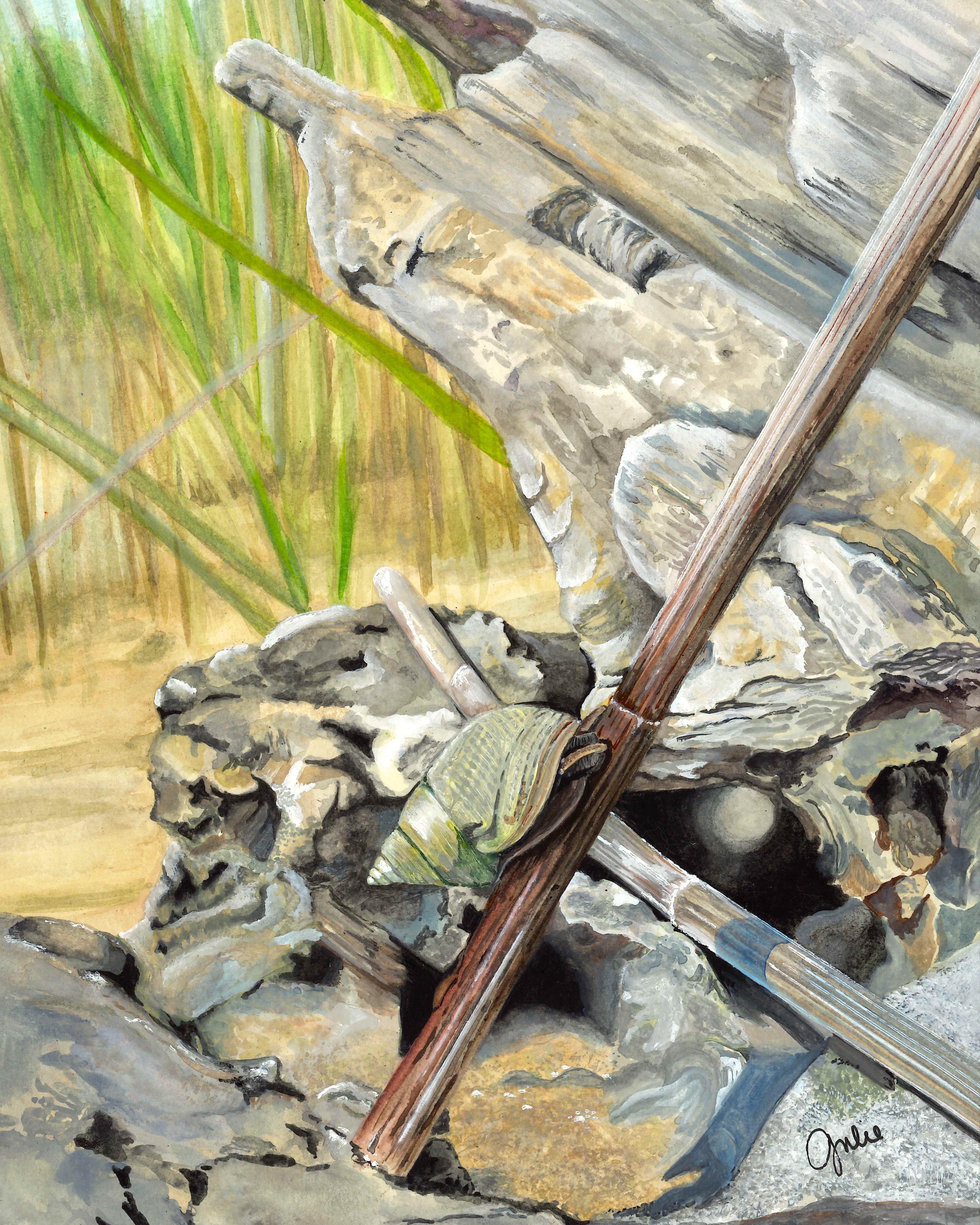 A marsh periwinkle climbing a stem of saltmarsh cordgrass on Horn Point campus. Original artwork by Julie Trommatter.