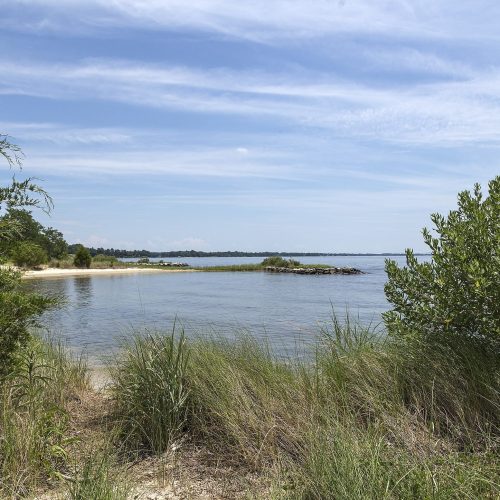 Photo of the Patuxent River from Jefferson Patterson Park