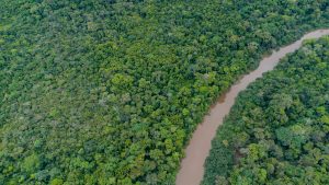 Aerial view of Amazon rainforest in Brazil, South America. 