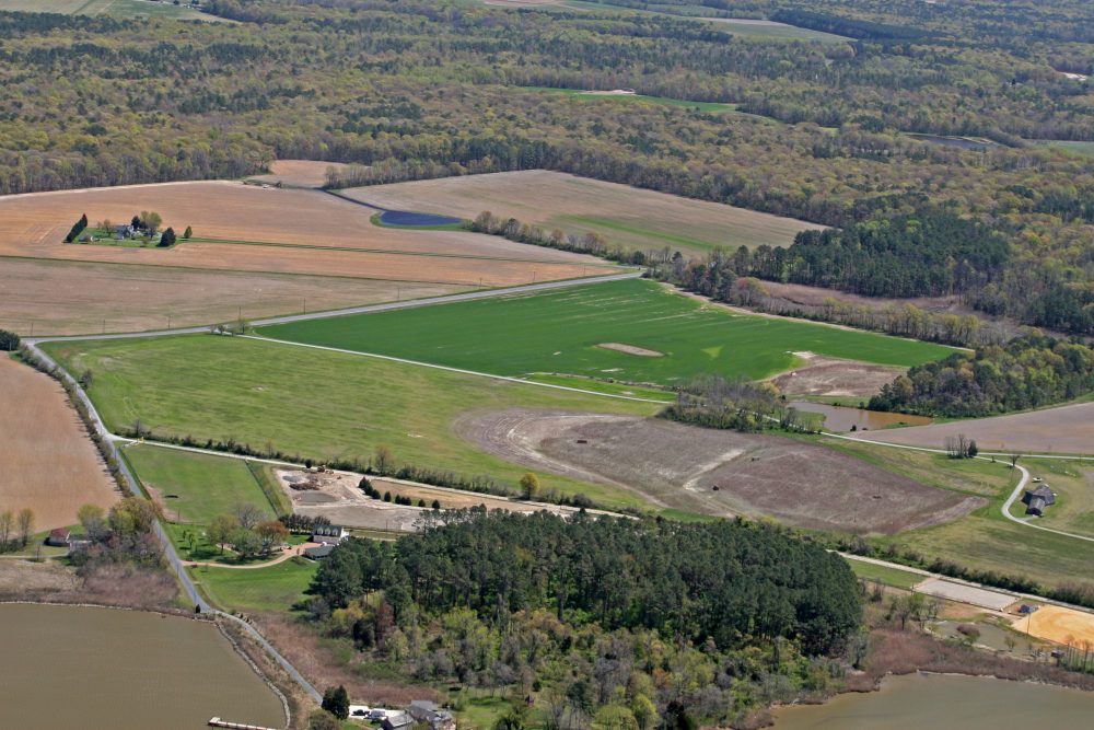 Cover crops (bright green) near Rock Hall