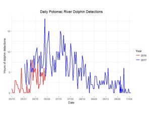 Daily Potomac River Dolphin Detections