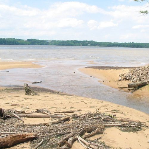 Photo of the Potomac River Estuary